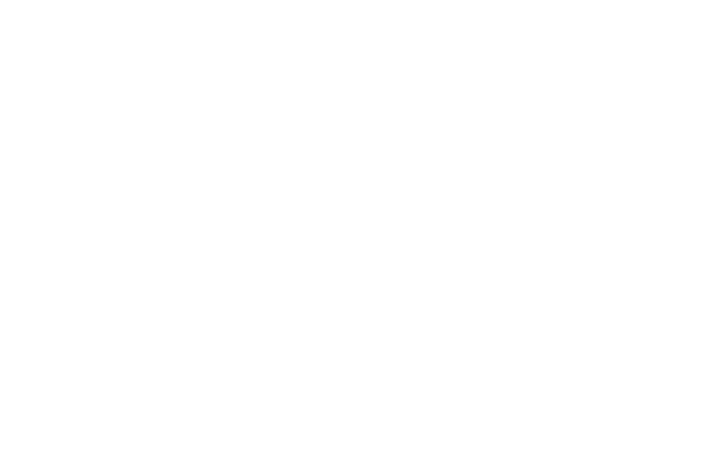Toward the Storm Logo